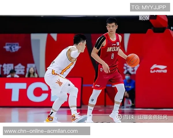 辽宁与广厦激战回放精彩瞬间全景解析与赛后点评